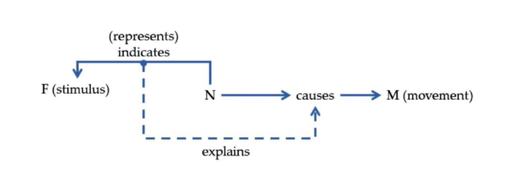 A diagram of Dretske’s “structuring cause” solution to the problem of mental content. On his view, neural state N is about stimulus conditions F if learning recruits N to cause movements M because of its ability to indicate F in the learning history. In recruiting N to indicate F going forward, Dretske says that it provides a “structuring cause” explanation of behavior; that it indicated F in the past explains why it now causes M. However, if content is fixed in the past in this way, then organisms can later persist in error indefinitely (e.g. token N in the absence of F) without ever changing their representational strategies. On my view, such persistent error provides evidence that the organism doesn’t actually regard tokening N in the absence of F as an error, that F is not actually the content of N (by the agent’s own lights).
